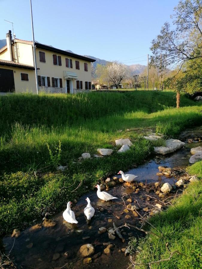 Agriturismo Da Andreina Borso del Grappa Ngoại thất bức ảnh