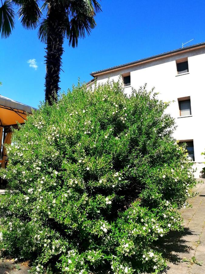 Agriturismo Da Andreina Borso del Grappa Ngoại thất bức ảnh